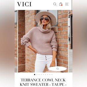 Vici Terrance Cowl Neck Knit Sweater (Taupe)
